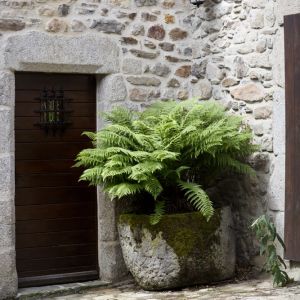 therma-mission-chaudes-aigues-05